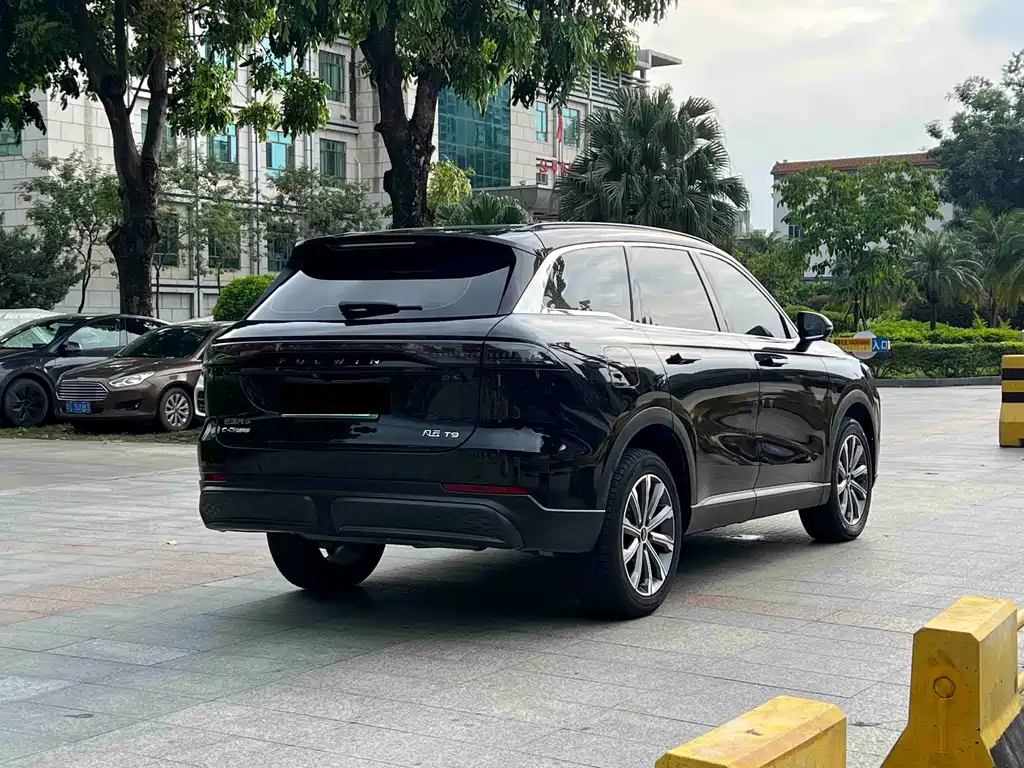 Fulwin Fengyun T9 — миниатюра 4