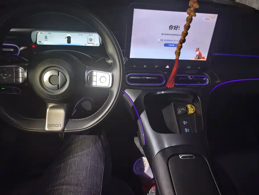 smart Smart #1 — миниатюра 12