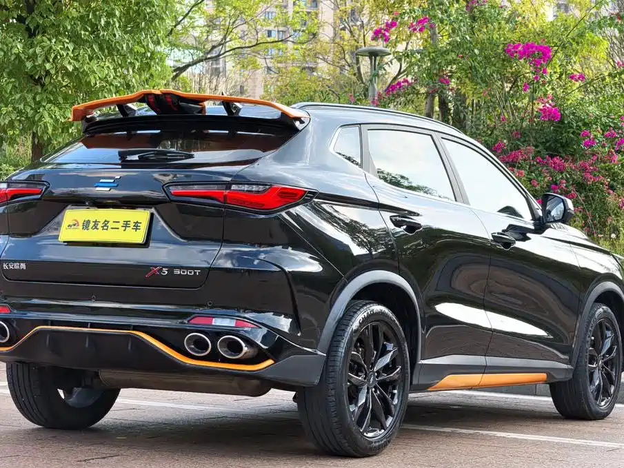Oshan Oushang X5 — миниатюра 6