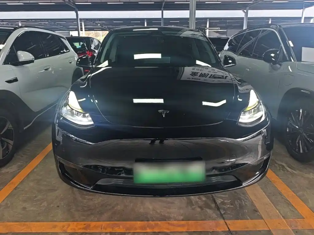 Tesla Model Y — миниатюра 3