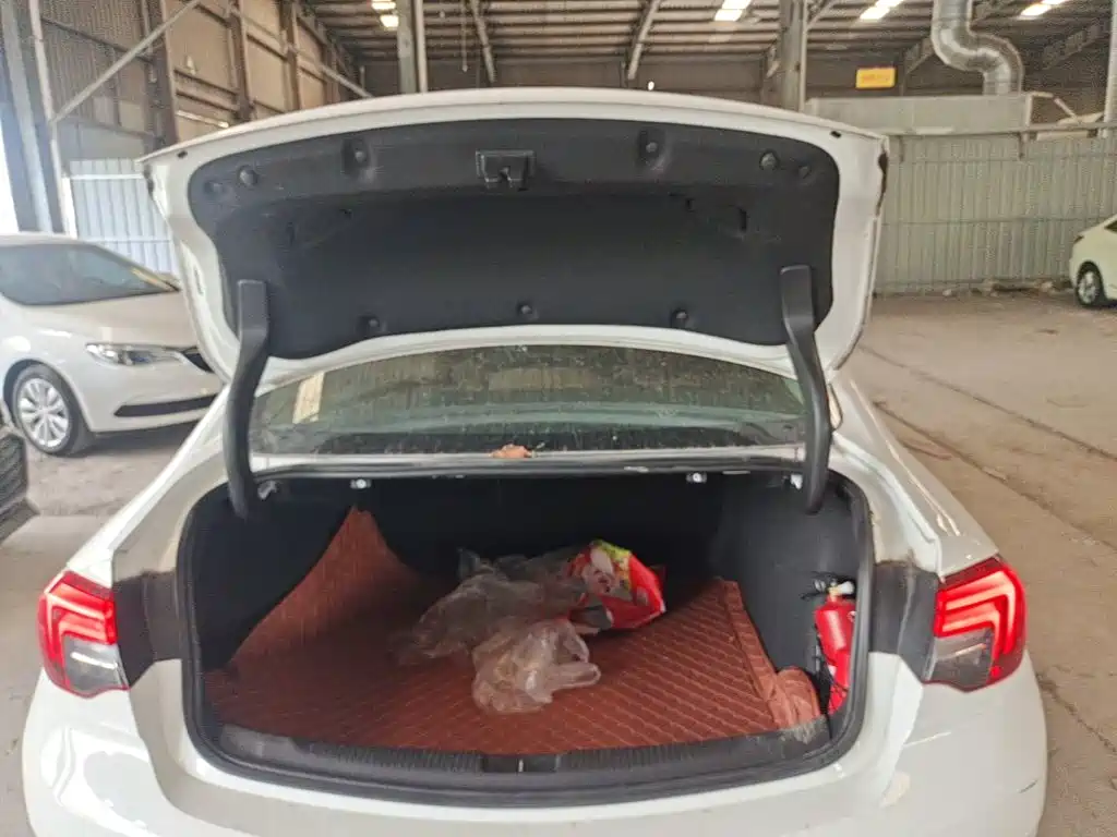 Buick Regal — миниатюра 19