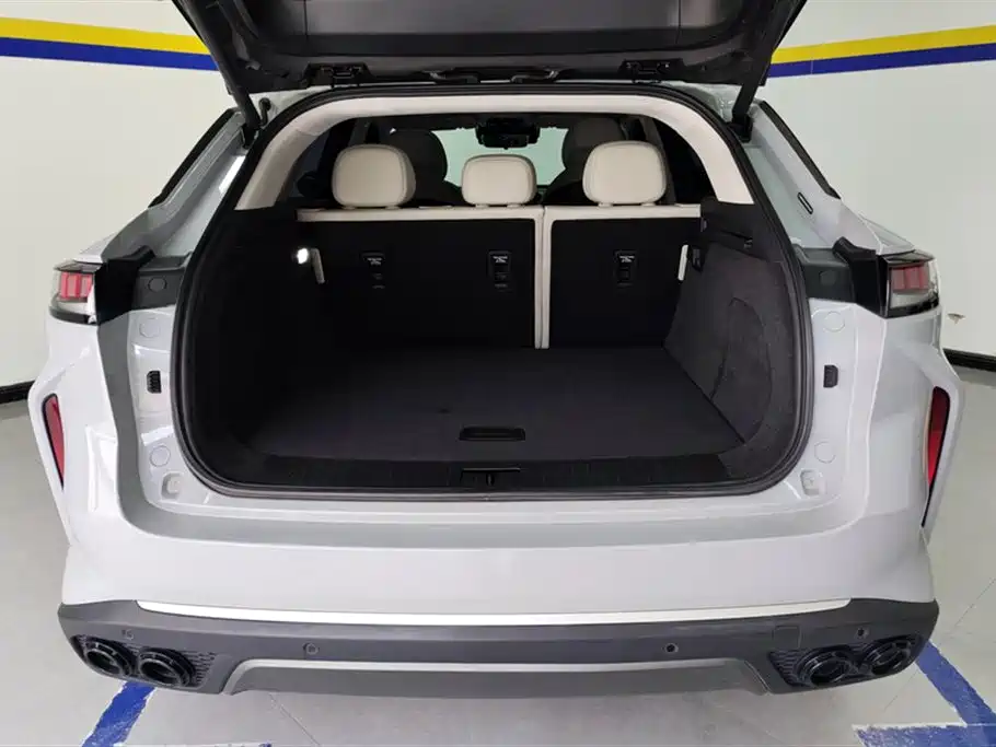 ASTRAL PATH YAOGUANG C DM