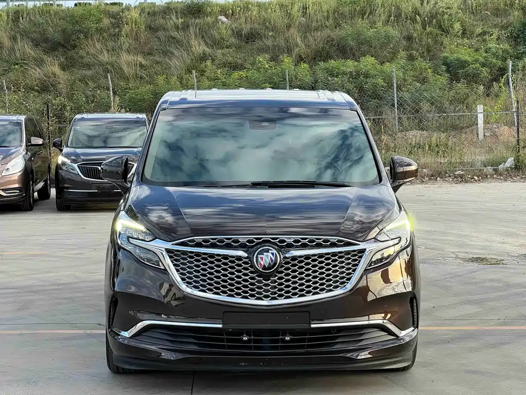 Buick GL8 — миниатюра 2