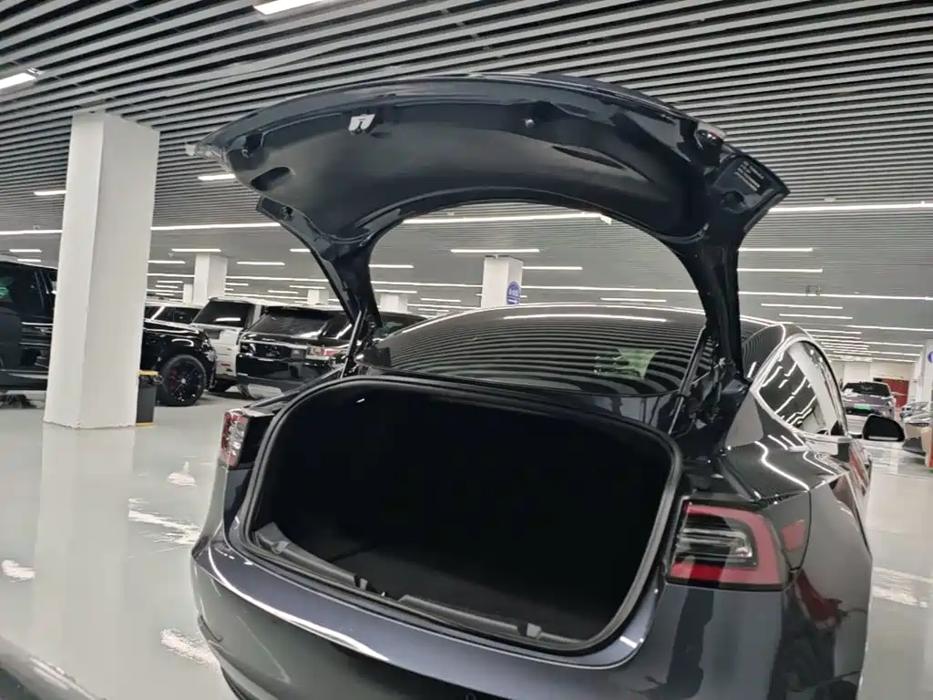 Tesla Model 3 — миниатюра 19
