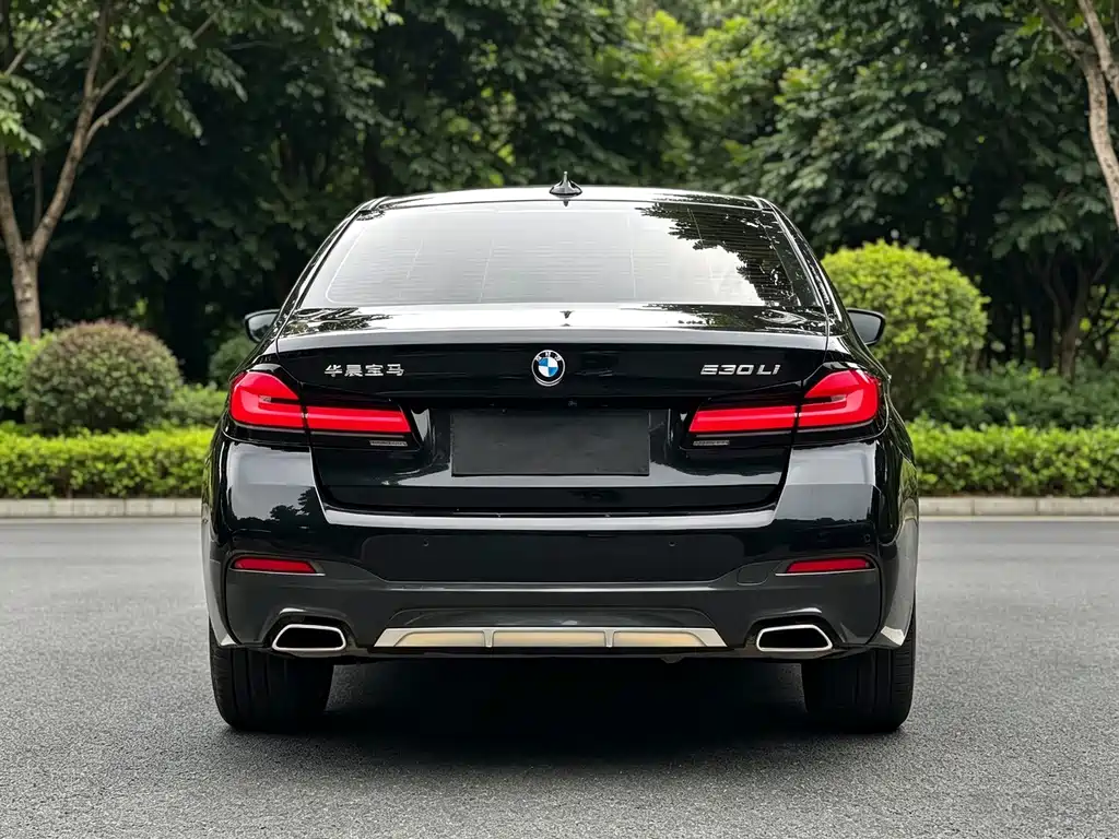 BMW 5 Series — миниатюра 15