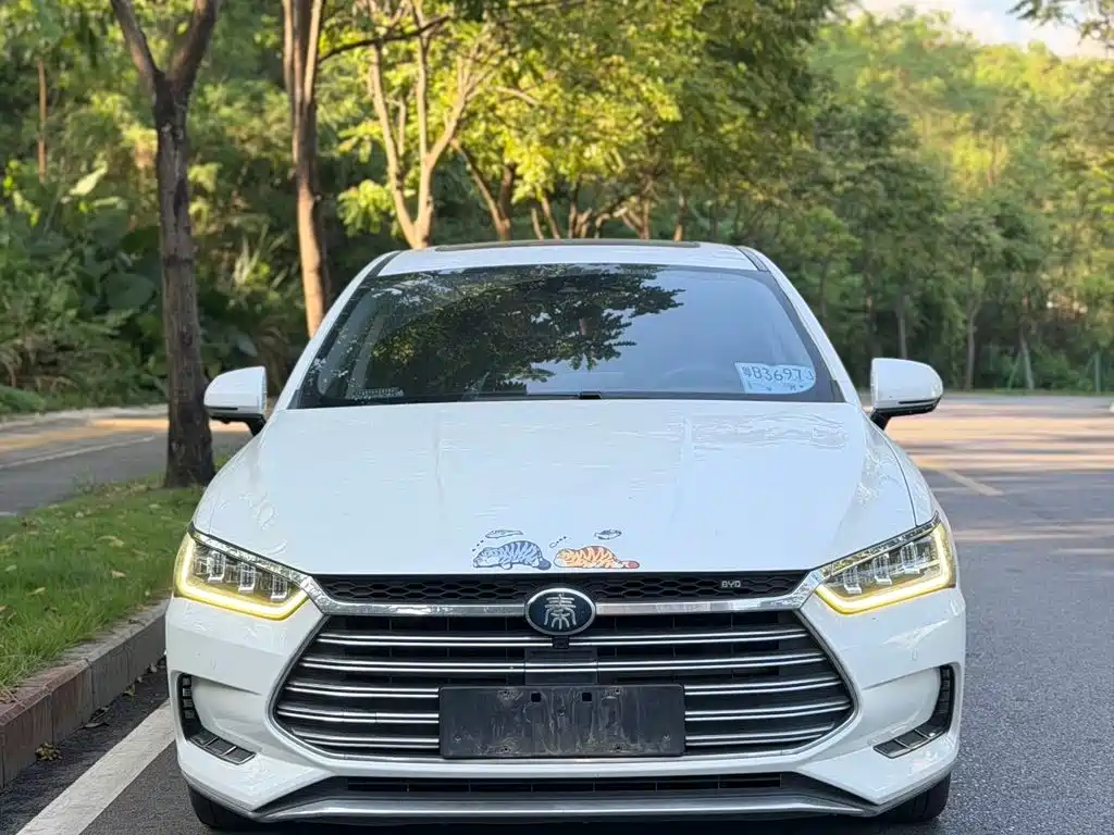 BYD Qin Pro NEV — миниатюра 2