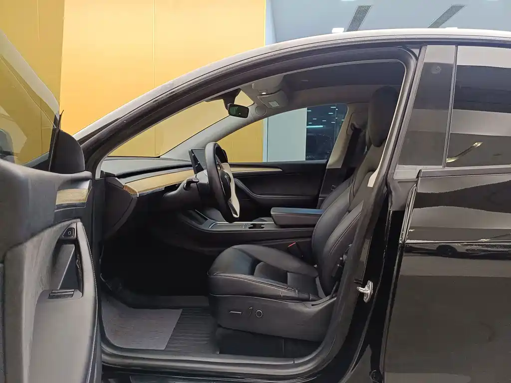 Tesla Model Y — миниатюра 9