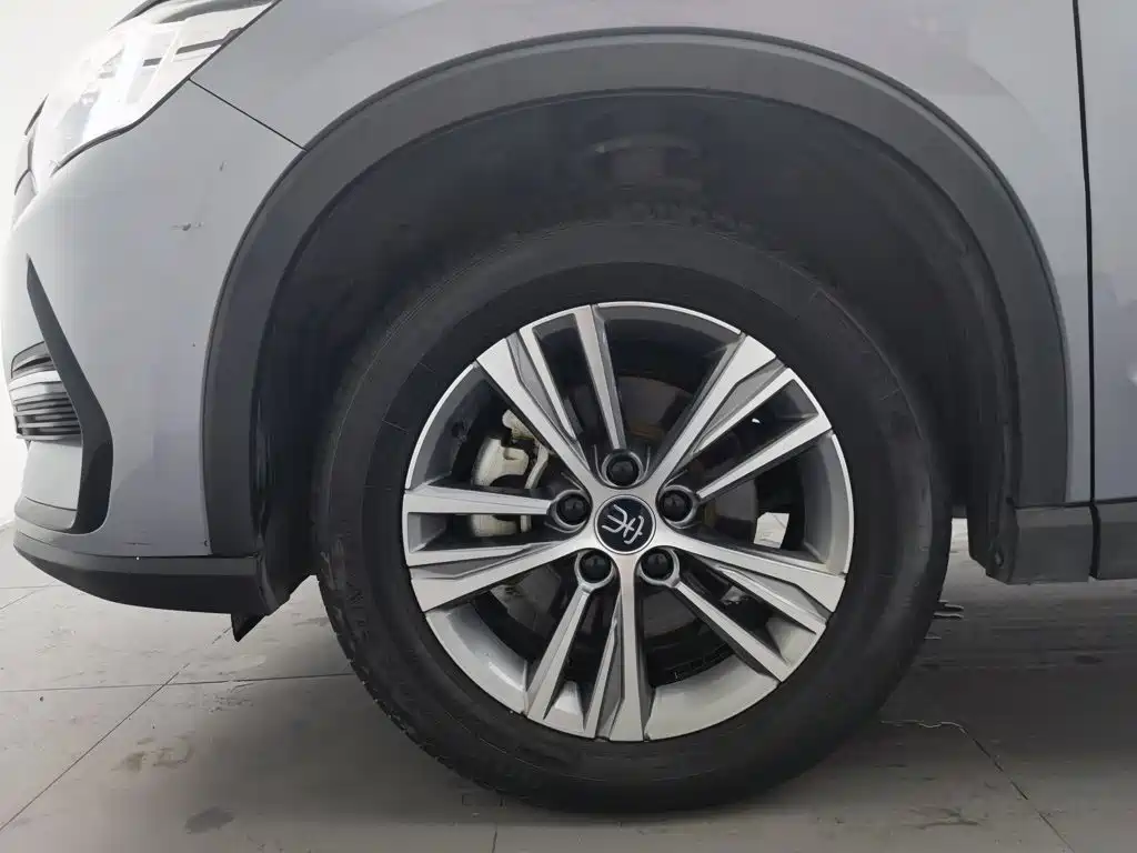 BYD Pro — миниатюра 17