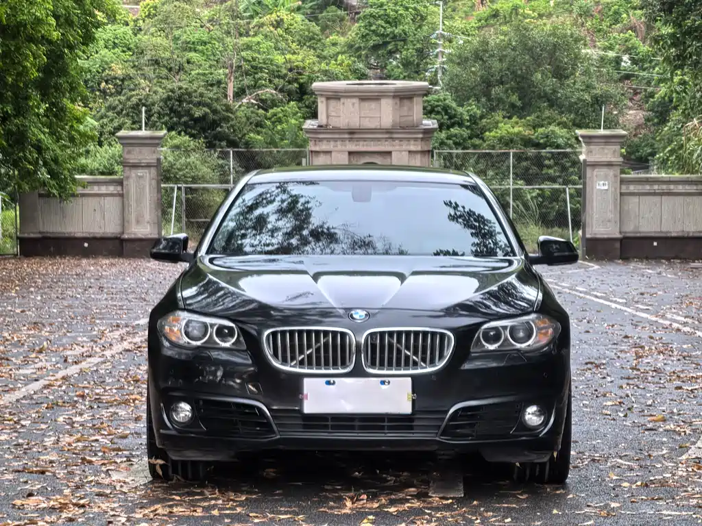 BMW 5 Series 5 2015 535Li Lead