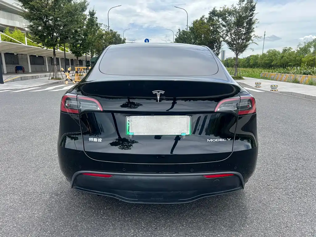 Tesla Model Y — миниатюра 5