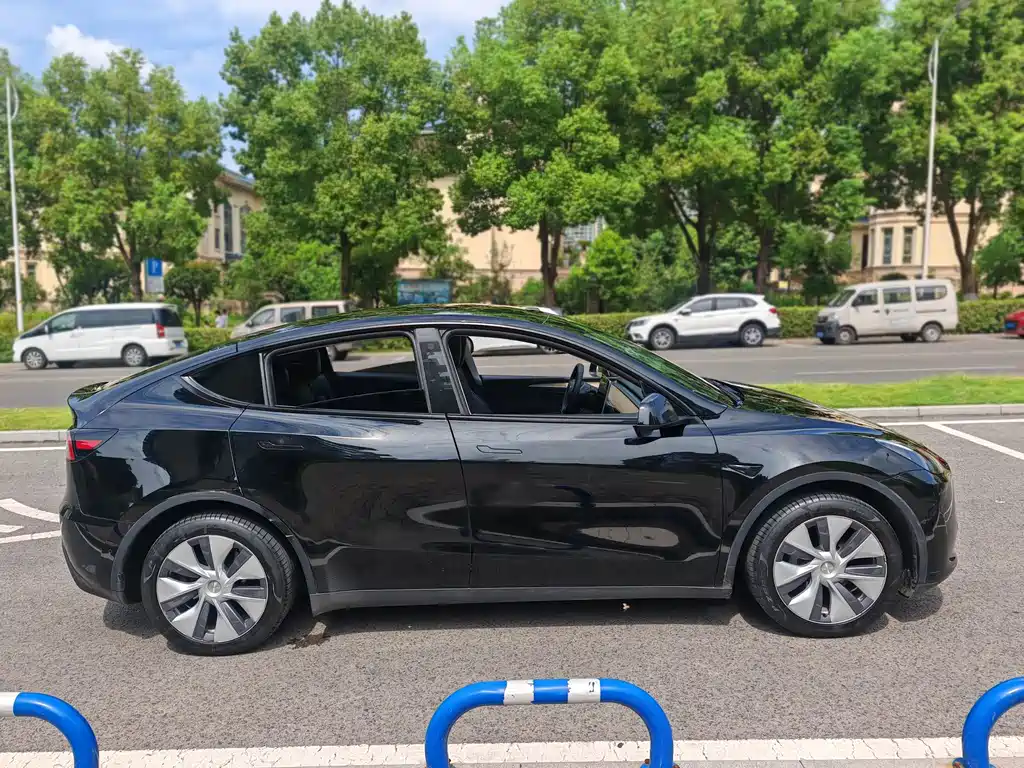 Tesla Model Y — миниатюра 14