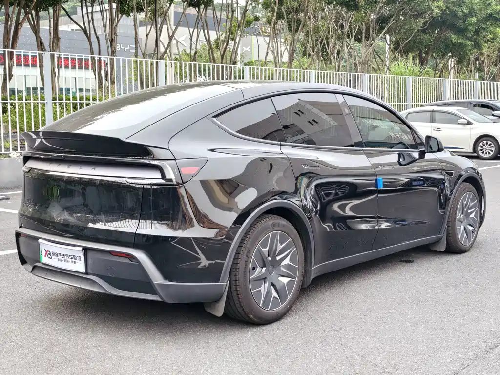 Tesla Model Y L — миниатюра 6