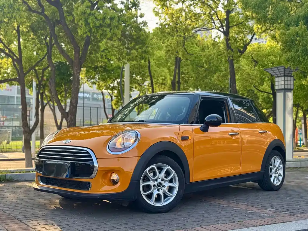 Mini Mini 2016