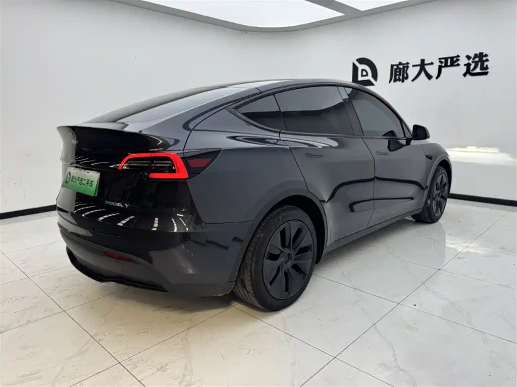 Tesla Model Y — миниатюра 6
