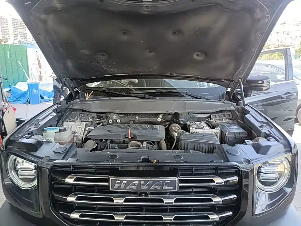 Haval Big Dog — миниатюра 20