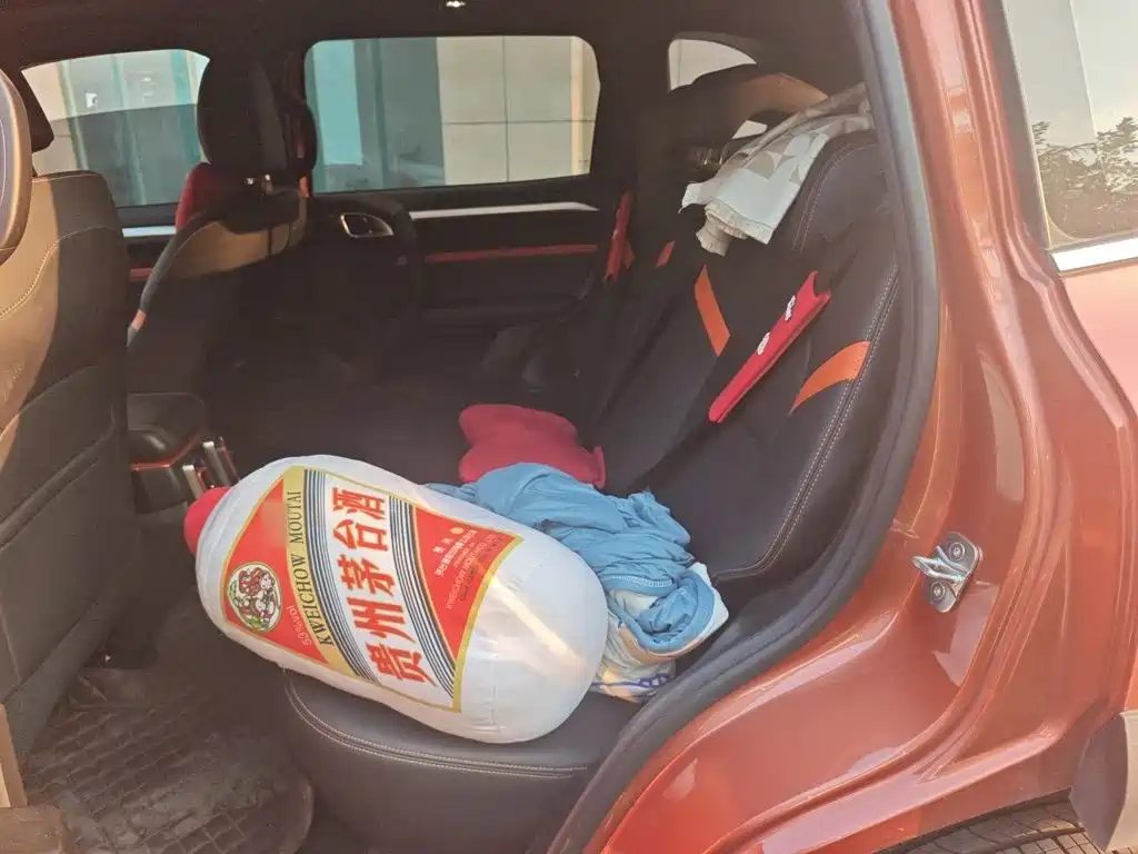 Haval Big Dog — миниатюра 13