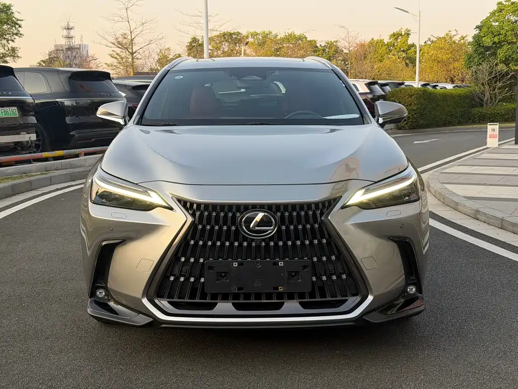 LEXUS NX NEW ENERGY