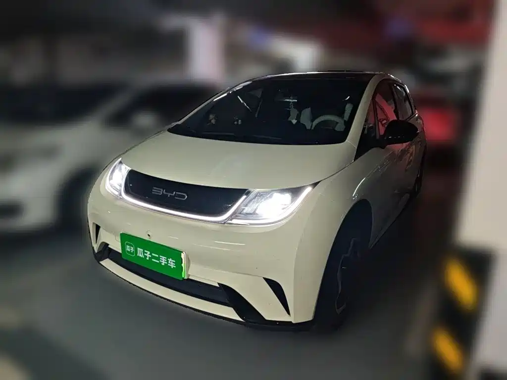 Byd Dolphin 2023