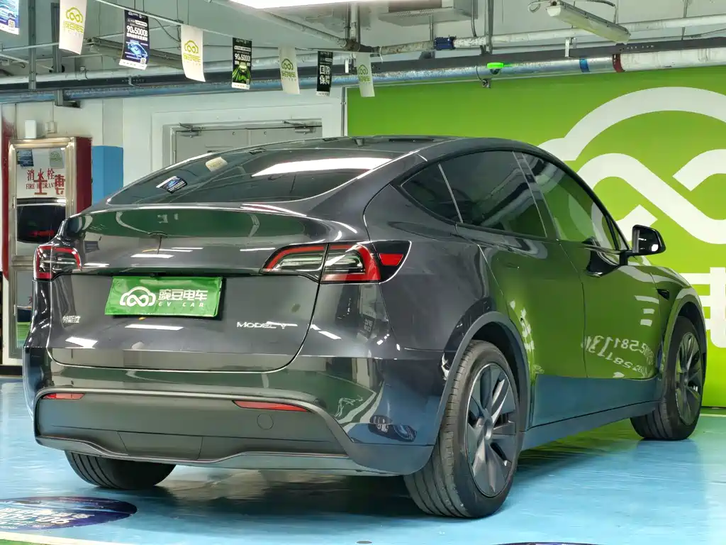 Tesla Model Y — миниатюра 19