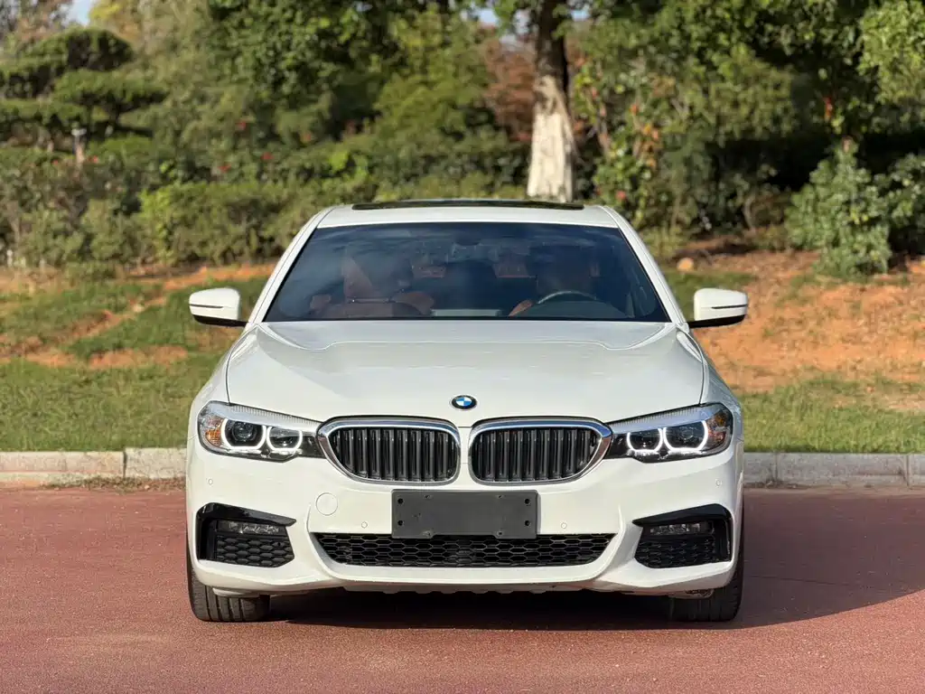 BMW 5 Series (Import) — миниатюра 2