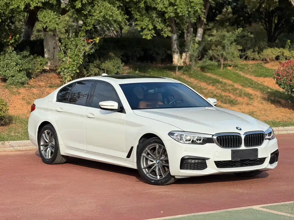 BMW 5 Series (Import) — миниатюра 3