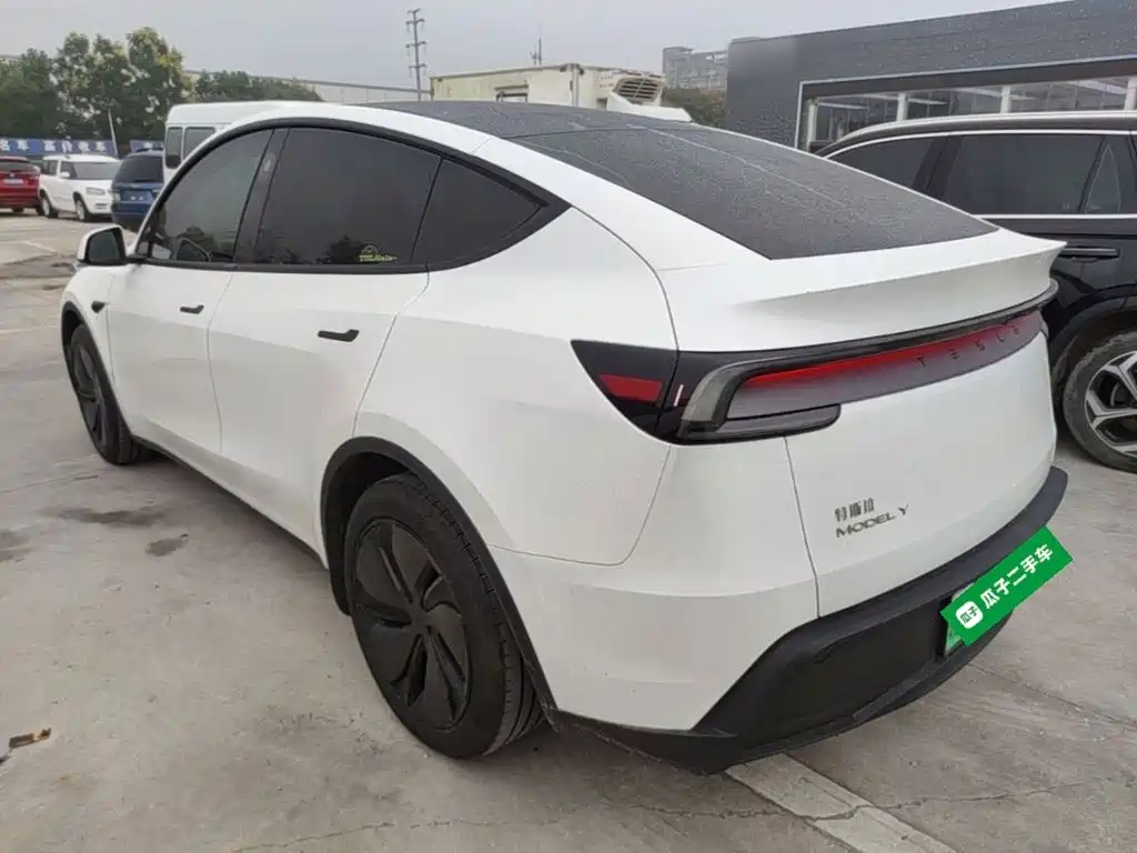 Tesla Model Y — миниатюра 5