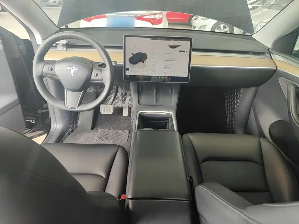 Tesla Model Y — миниатюра 10