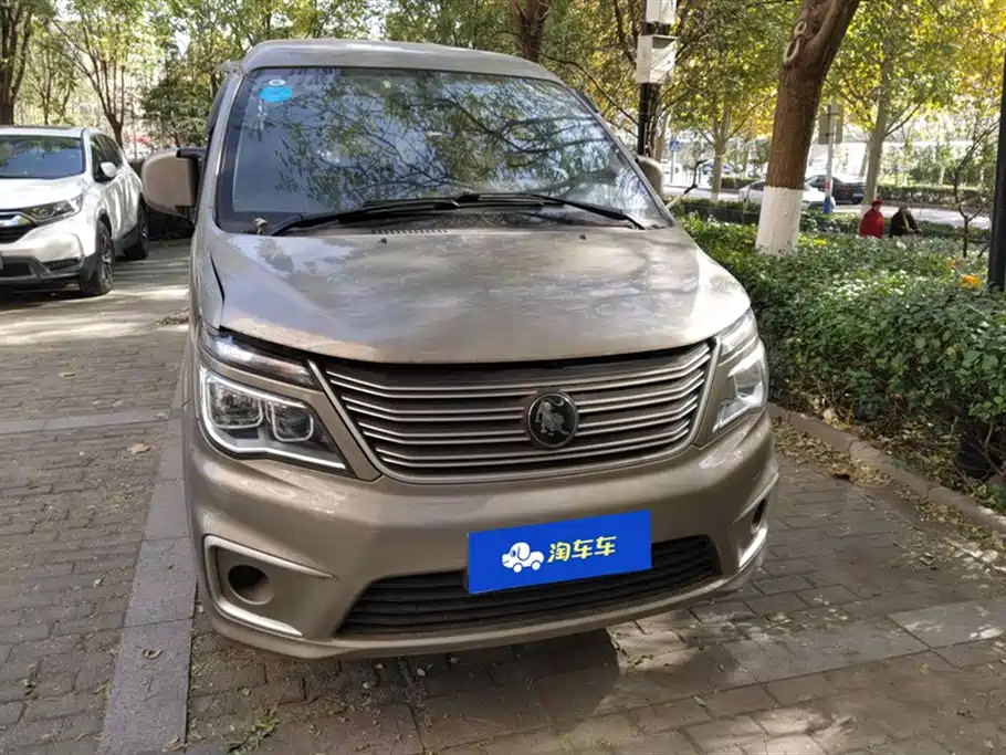 DONGFENG LINGZHI
