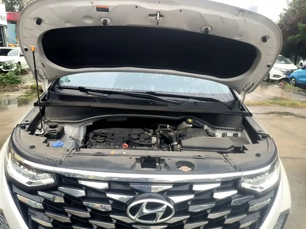 Hyundai Custo — миниатюра 20