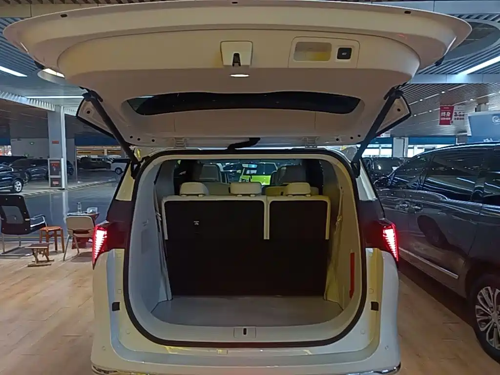 Buick GL8 Hybrid — миниатюра 19