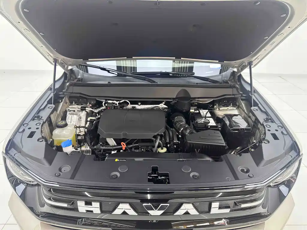 Haval Big Dog PLUS — миниатюра 8