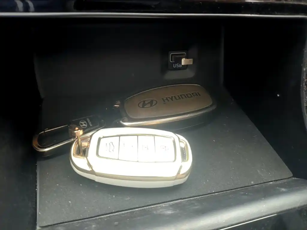 Hyundai Custo — миниатюра 9