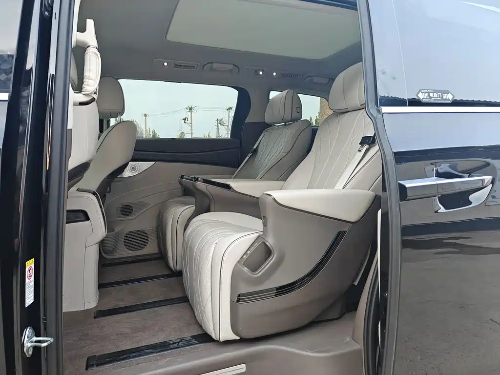 Denza Denza D9 — миниатюра 9