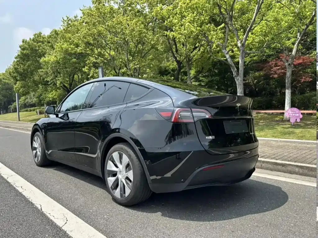 Tesla Model Y — миниатюра 4