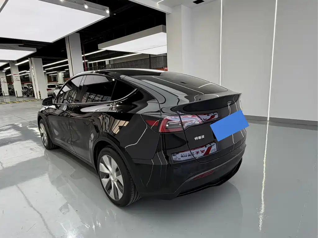 Tesla Model Y — миниатюра 15