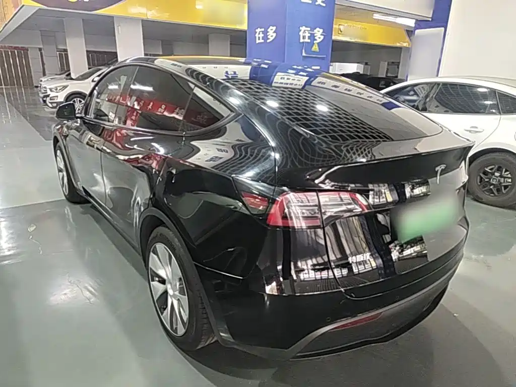 Tesla Model Y — миниатюра 5