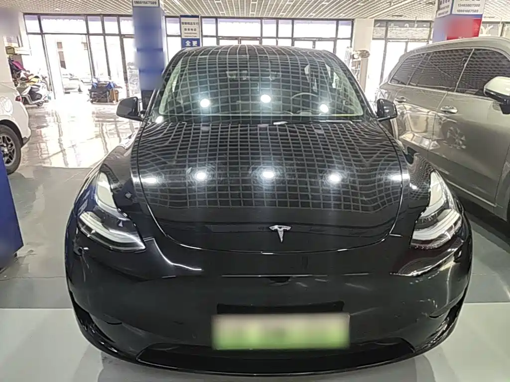 Tesla Model Y — миниатюра 3