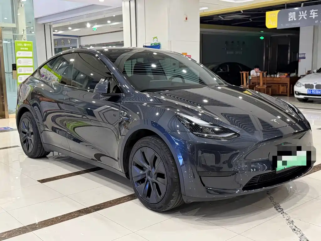 Tesla Model Y — миниатюра 3