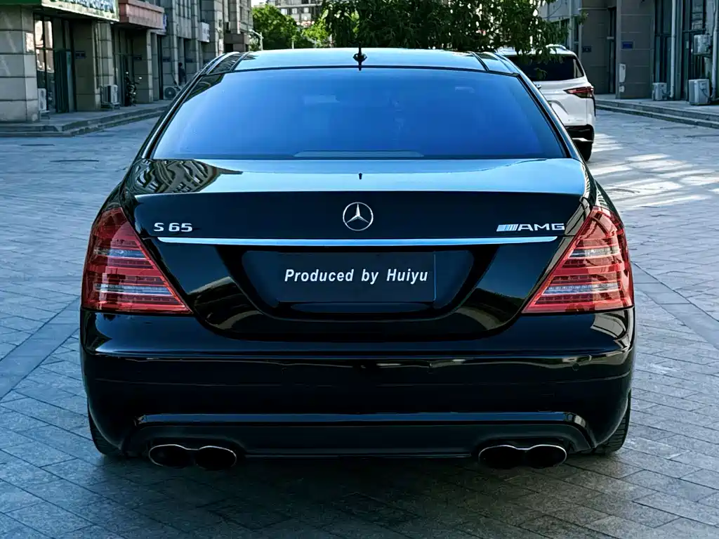 Mercedes-Benz S-Class A MG S AMG 2010 AMG S 65