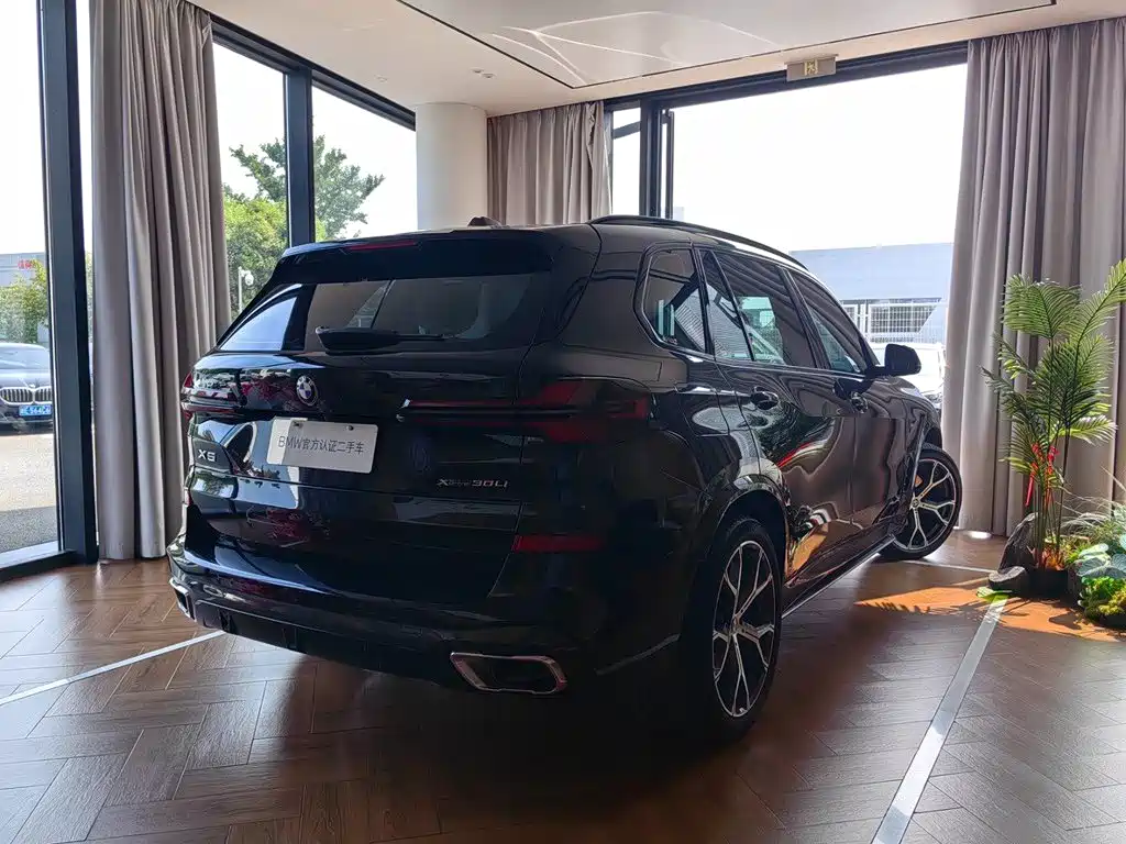 BMW X5 — миниатюра 4