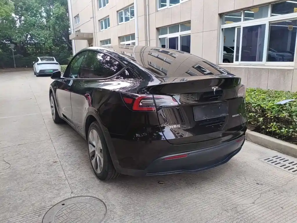 Tesla Model Y — миниатюра 5