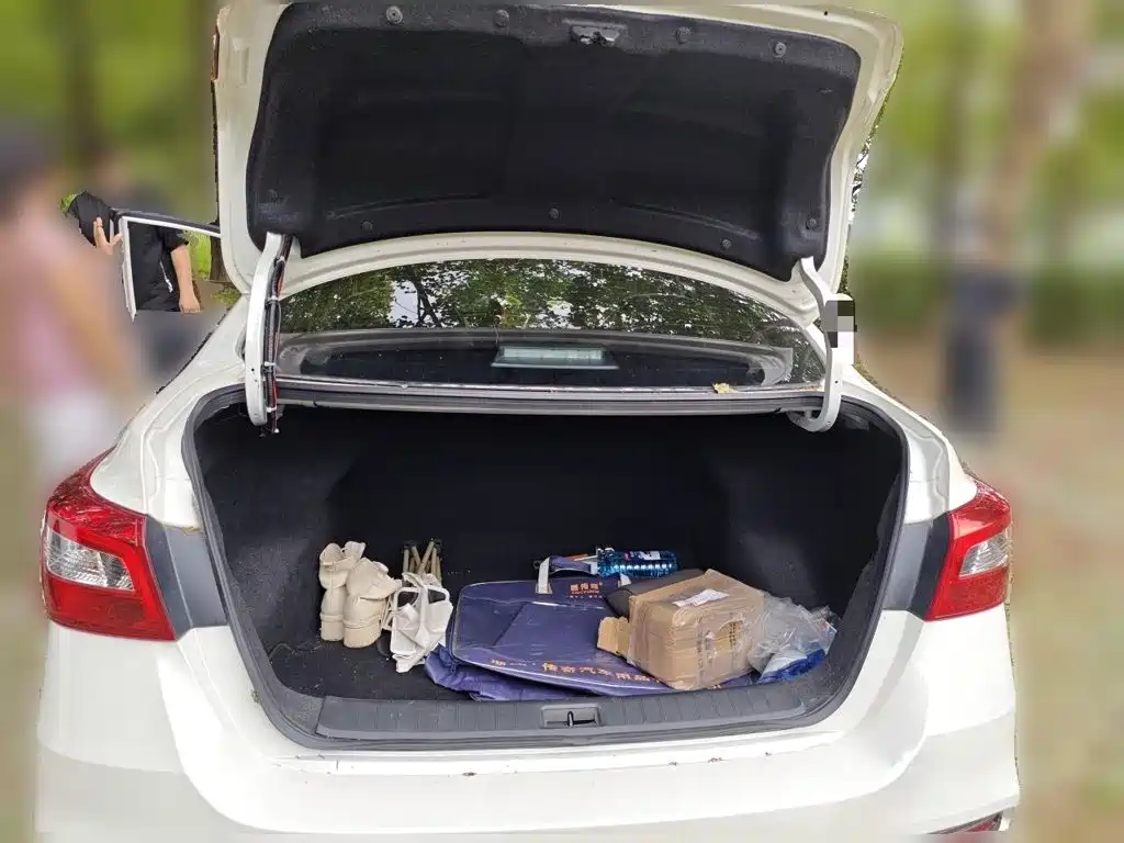 Nissan Sylphy — миниатюра 10