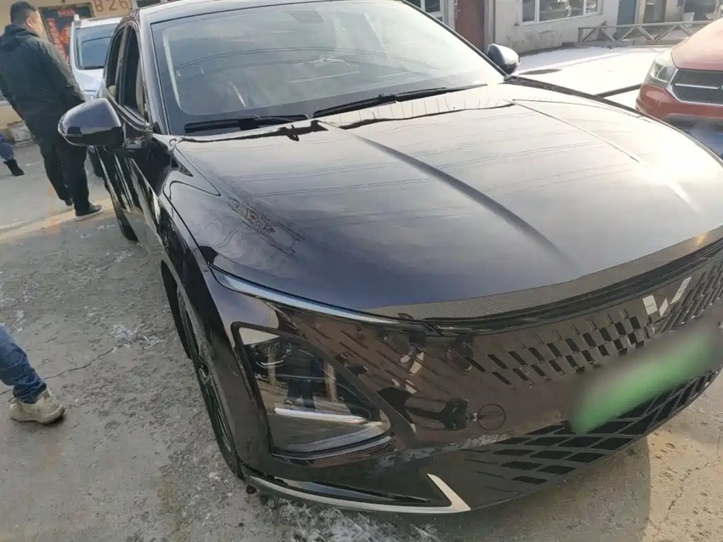 WULING WULING STARLIGHT