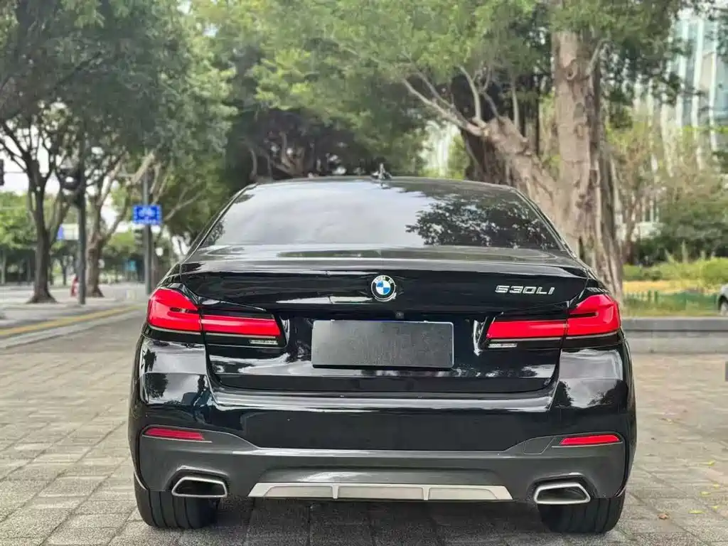 BMW 5 Series — миниатюра 3