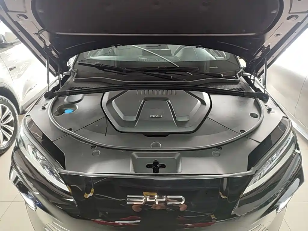 BYD PLUS New Energy — миниатюра 20