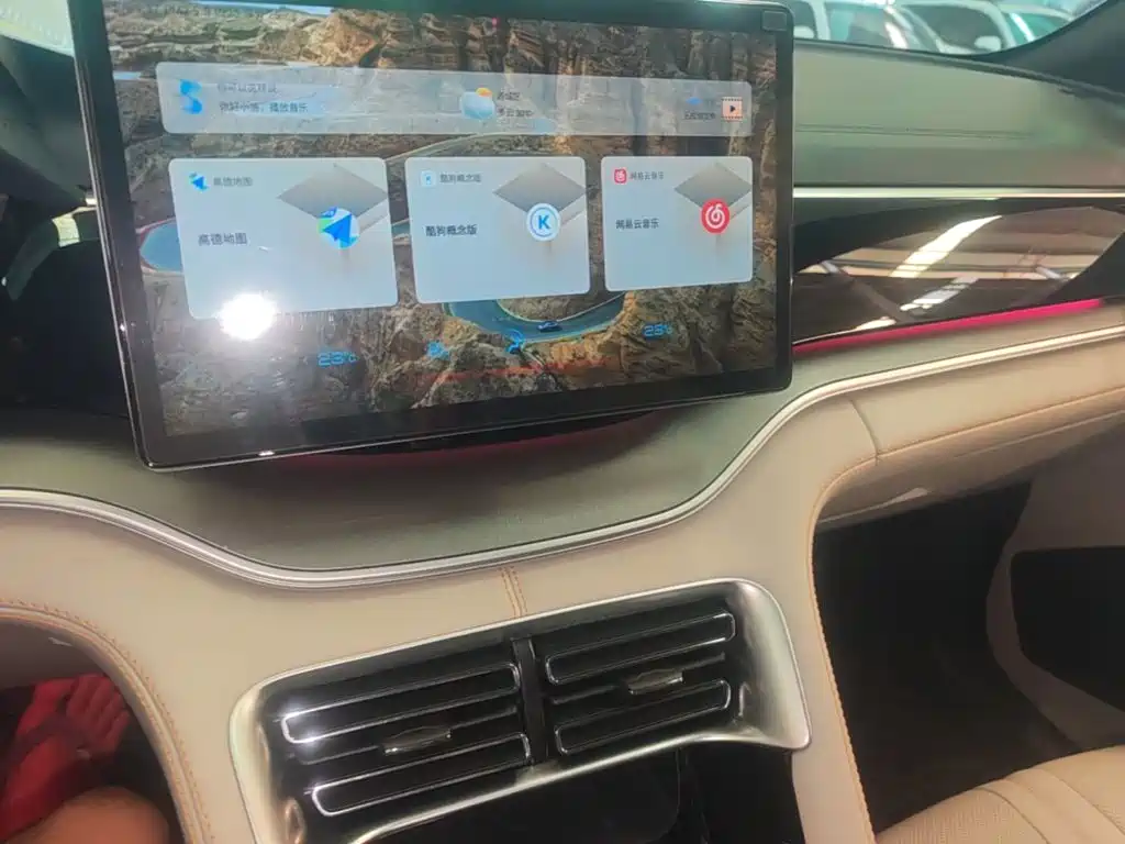 BYD PLUS New Energy — миниатюра 13