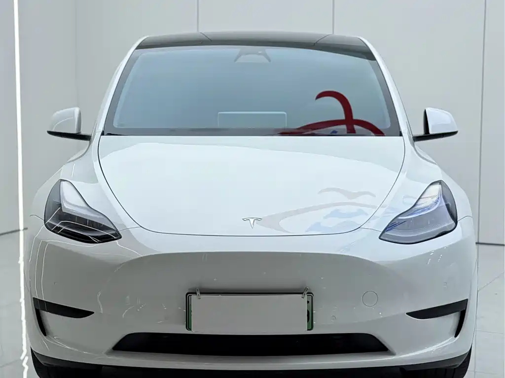 Tesla Model Y — миниатюра 3