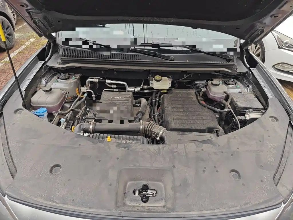 BYD Pro New Energy — миниатюра 16