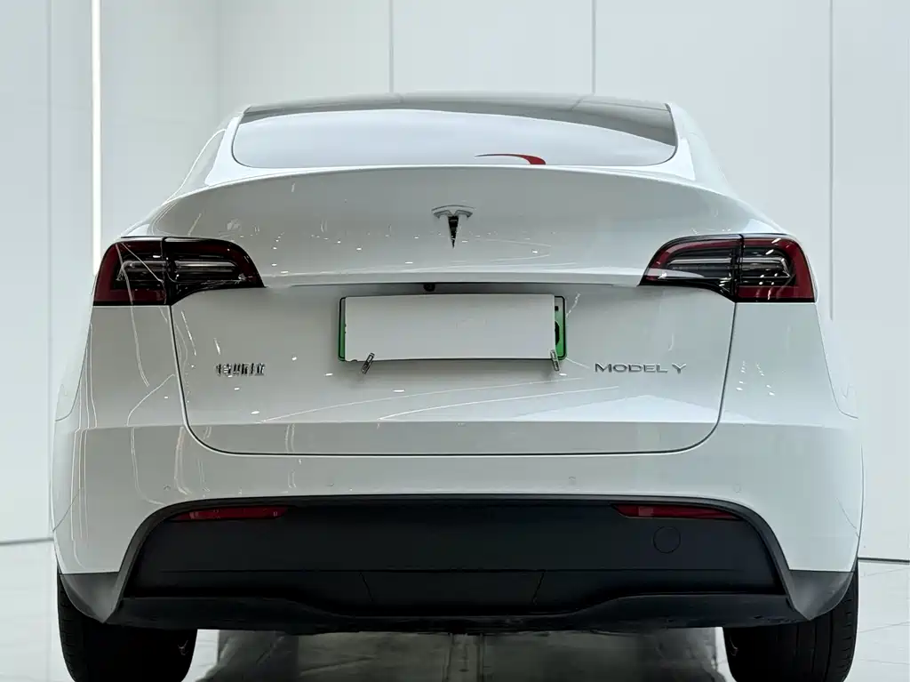 Tesla Model Y — миниатюра 16