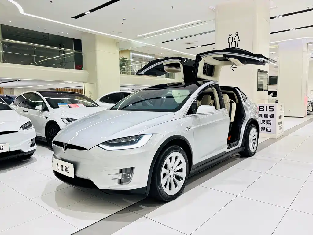 Tesla Model X — миниатюра 2